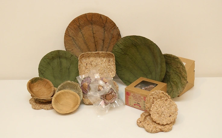 Lotus Leaf Packaging(Source: Thanh Nien Newspaper)