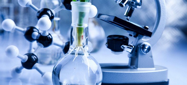 Applications of Biotechnology(Source: Yersin University of Da Lat)