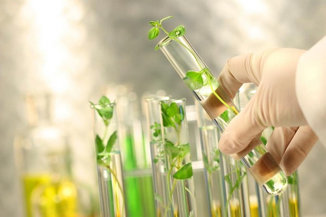 How Is Biotechnology Driving Global Innovation?