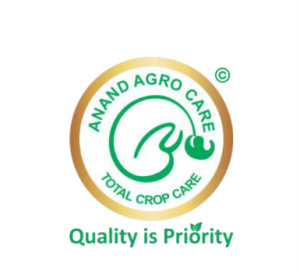 ACELOR INDUSTRIES PVT LTD