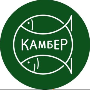 KAMBER LLC